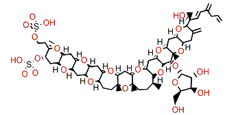 Protoceratin III